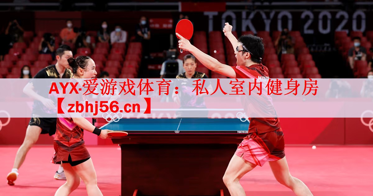 <strong>AYX·爱游戏体育：私人室内健身房</strong>