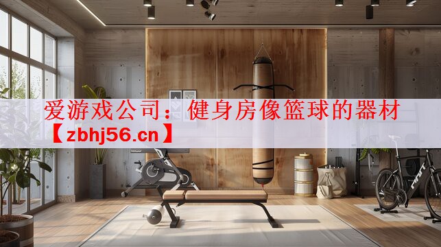 爱游戏公司：健身房像篮球的器材