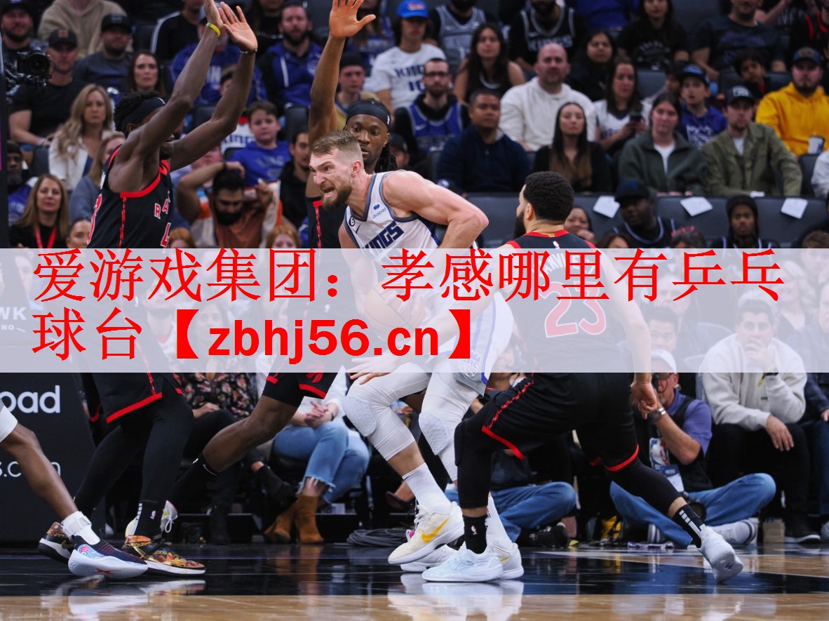 爱游戏集团：孝感哪里有乒乓球台