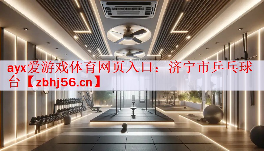 ayx爱游戏体育网页入口：济宁市乒乓球台