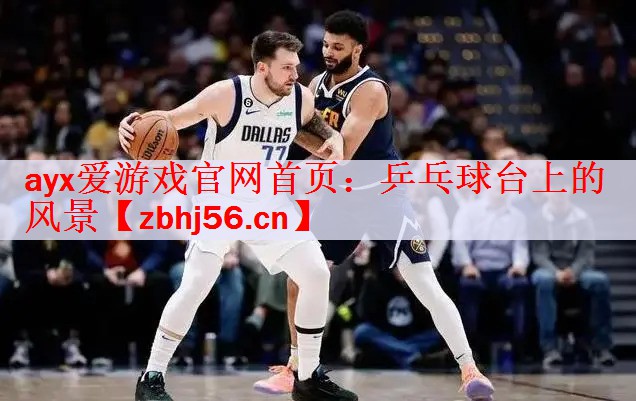 ayx爱游戏官网首页：乒乓球台上的风景