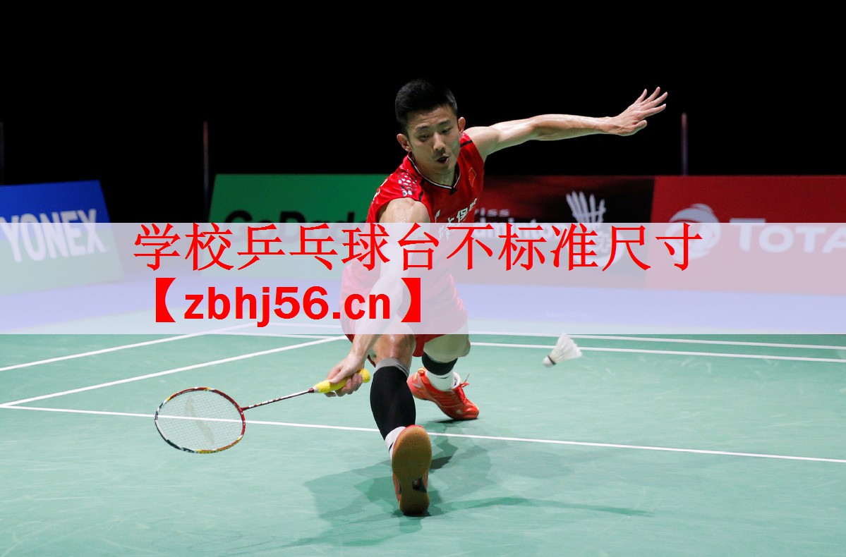 <strong>学校乒乓球台不标准尺寸</strong>