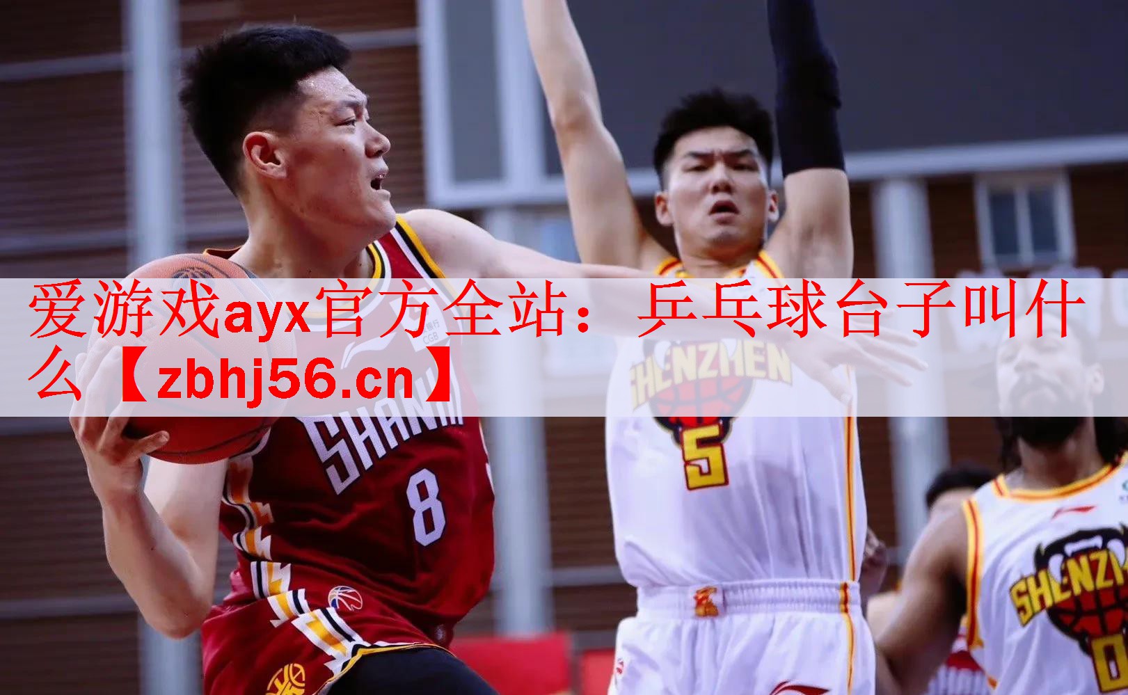 爱游戏ayx官方全站：乒乓球台子叫什么