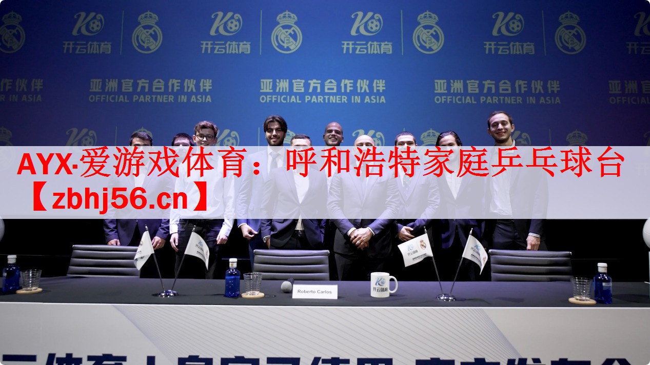 <strong>AYX·爱游戏体育：呼和浩特家庭乒乓球台</strong>
