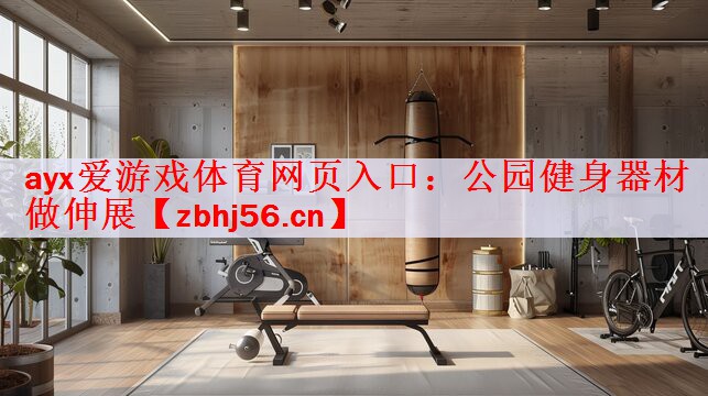 ayx爱游戏体育网页入口：公园健身器材做伸展