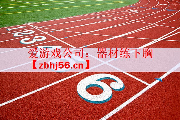 爱游戏公司：器材练下胸