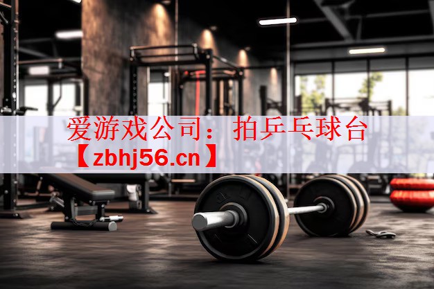 爱游戏公司：拍乒乓球台