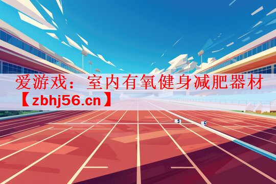 <strong>爱游戏：室内有氧健身减肥器材</strong>