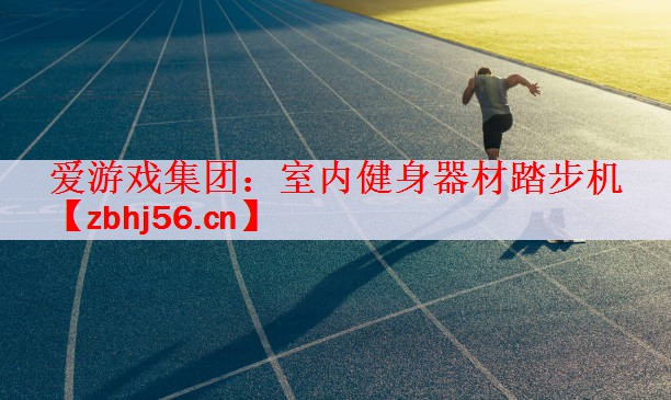 <strong>爱游戏集团：室内健身器材踏步机</strong>
