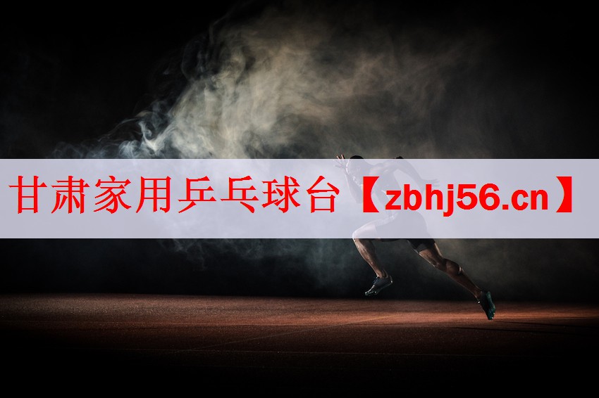 甘肃家用乒乓球台