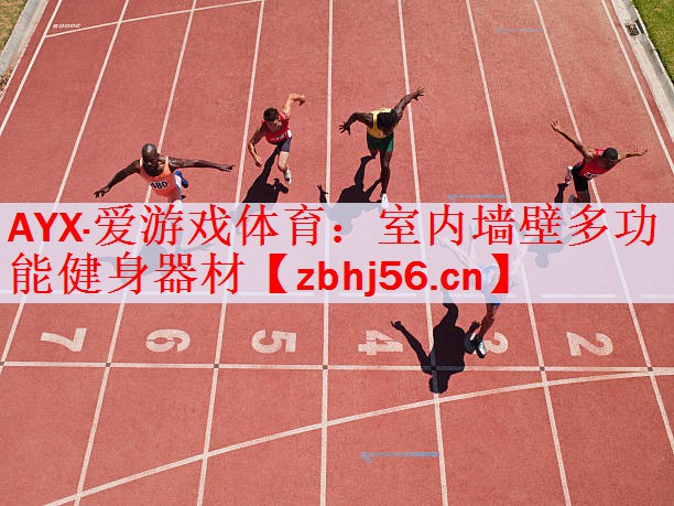 <strong>AYX·爱游戏体育：室内墙壁多功能健身器材</strong>