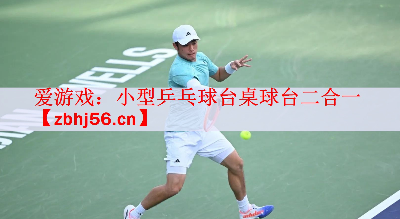 <strong>爱游戏：小型乒乓球台桌球台二合一</strong>