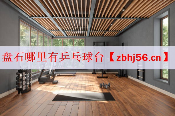 盘石哪里有乒乓球台