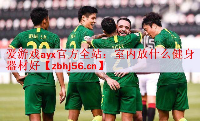 <strong>爱游戏ayx官方全站：室内放什么健身器材好</strong>