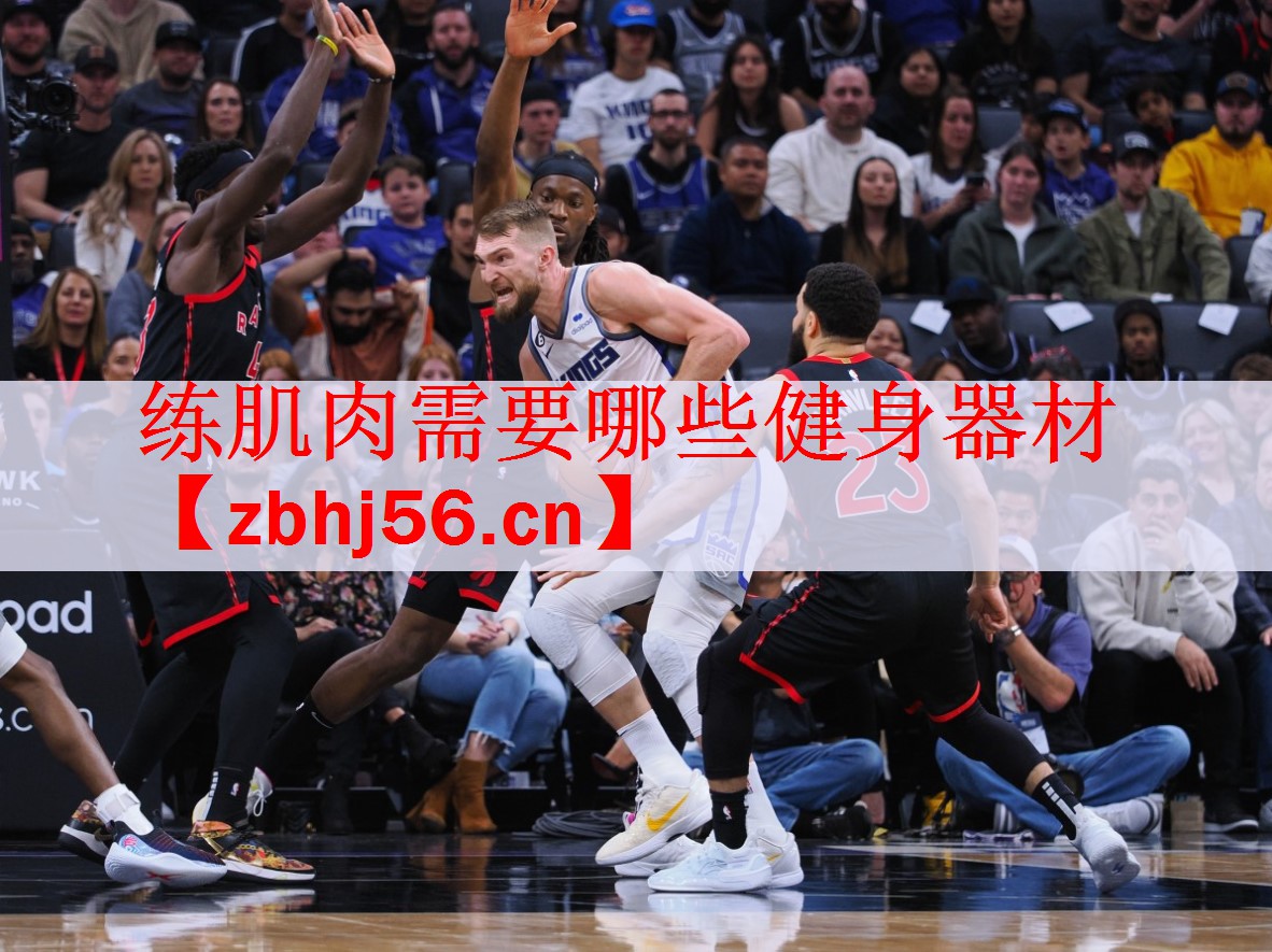 练肌肉需要哪些健身器材