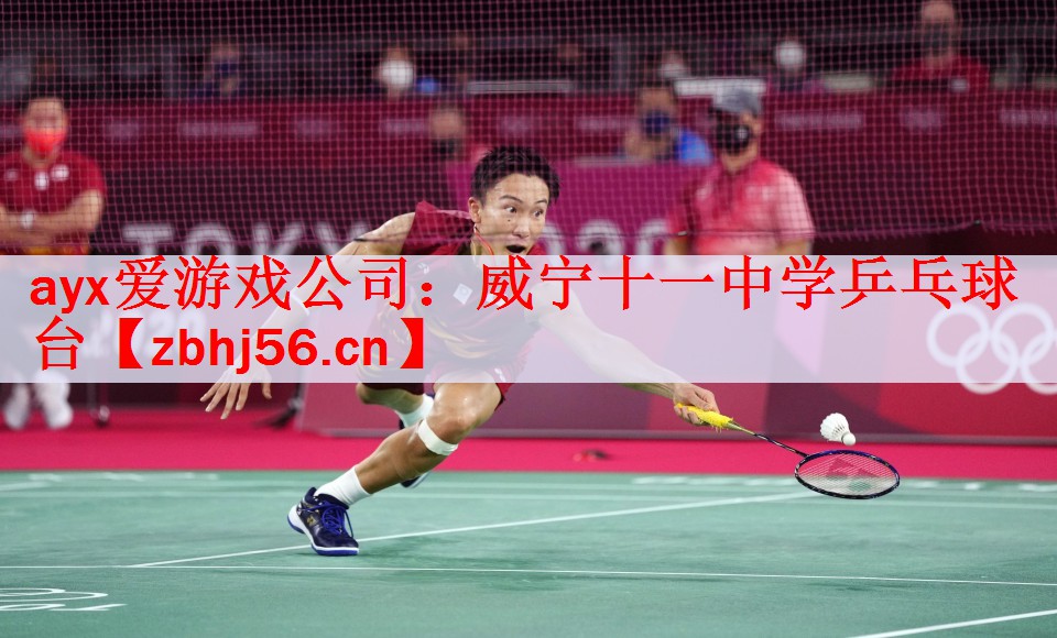 ayx爱游戏公司：威宁十一中学乒乓球台