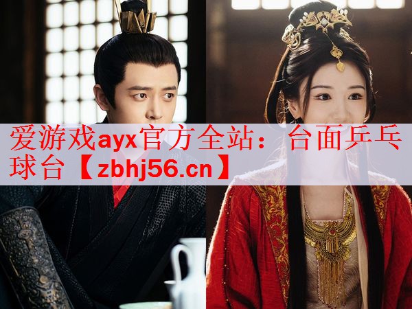 爱游戏ayx官方全站：台面乒乓球台