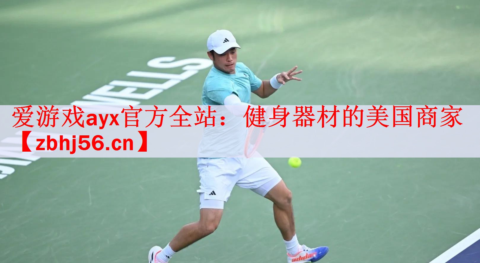 <strong>爱游戏ayx官方全站：健身器材的美国商家</strong>