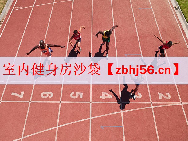 <strong>室内健身房沙袋</strong>