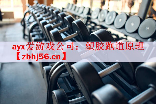 ayx爱游戏公司：塑胶跑道原理