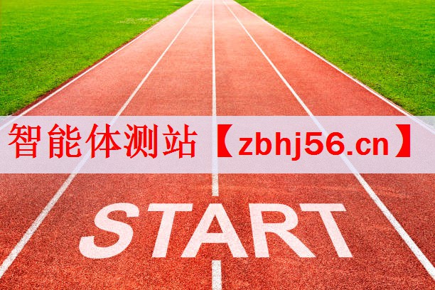 <strong>智能体测站</strong>