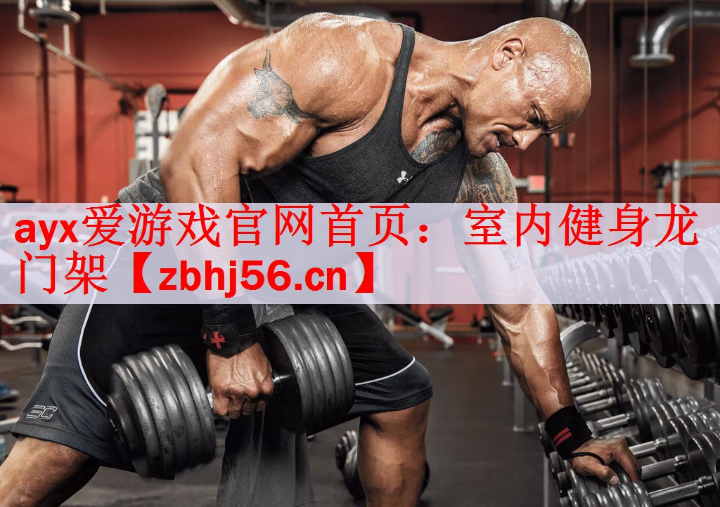 ayx爱游戏官网首页：室内健身龙门架
