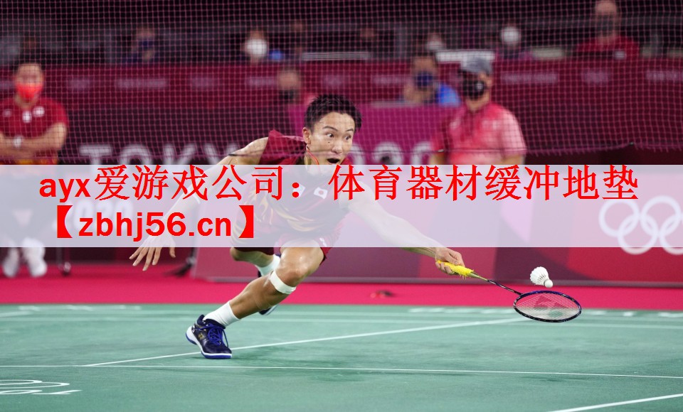 <strong>ayx爱游戏公司：体育器材缓冲地垫</strong>