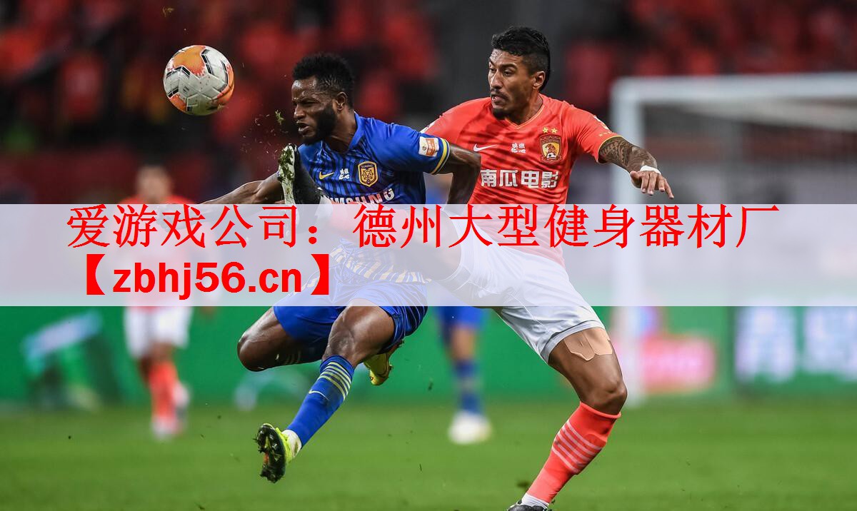 爱游戏公司：德州大型健身器材厂