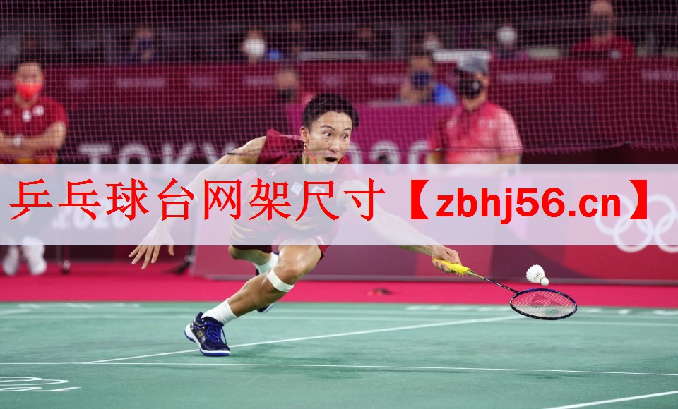<strong>乒乓球台网架尺寸</strong>