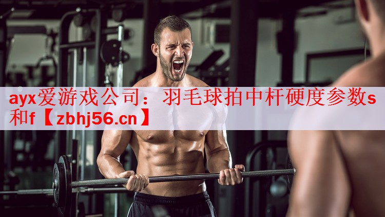 ayx爱游戏公司：羽毛球拍中杆硬度参数s和f