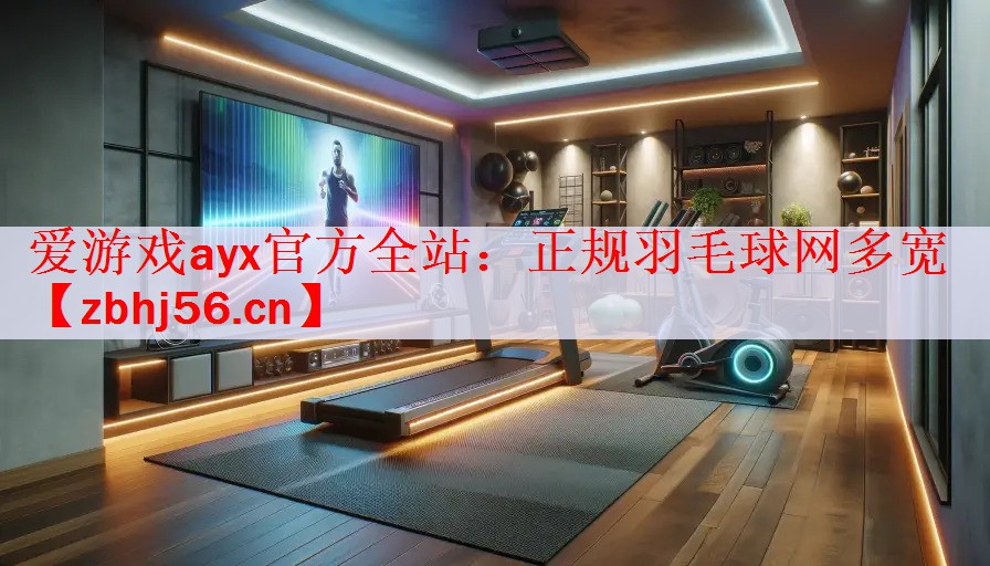 爱游戏ayx官方全站：正规羽毛球网多宽