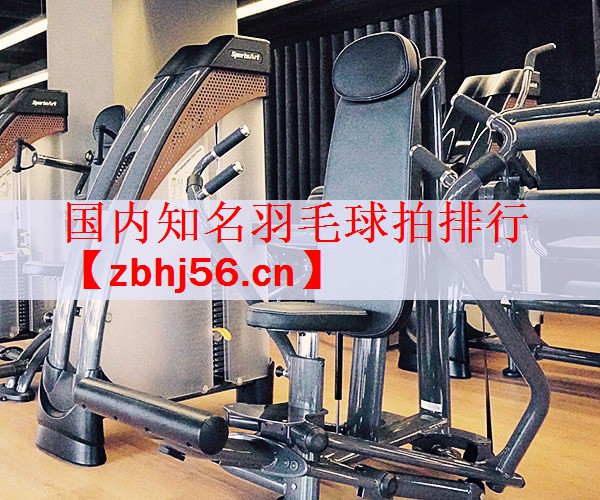 国内知名羽毛球拍排行