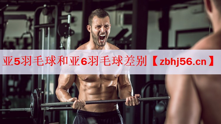 <strong>亚5羽毛球和亚6羽毛球差别</strong>