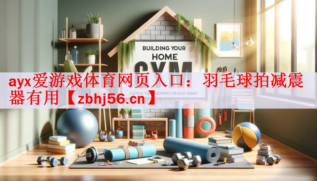 ayx爱游戏体育网页入口：羽毛球拍减震器有用