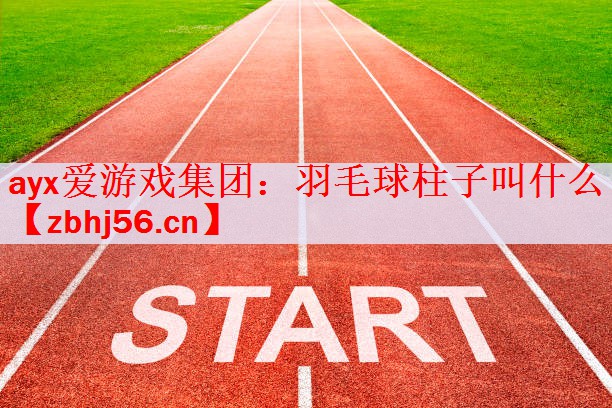 ayx爱游戏集团：羽毛球柱子叫什么