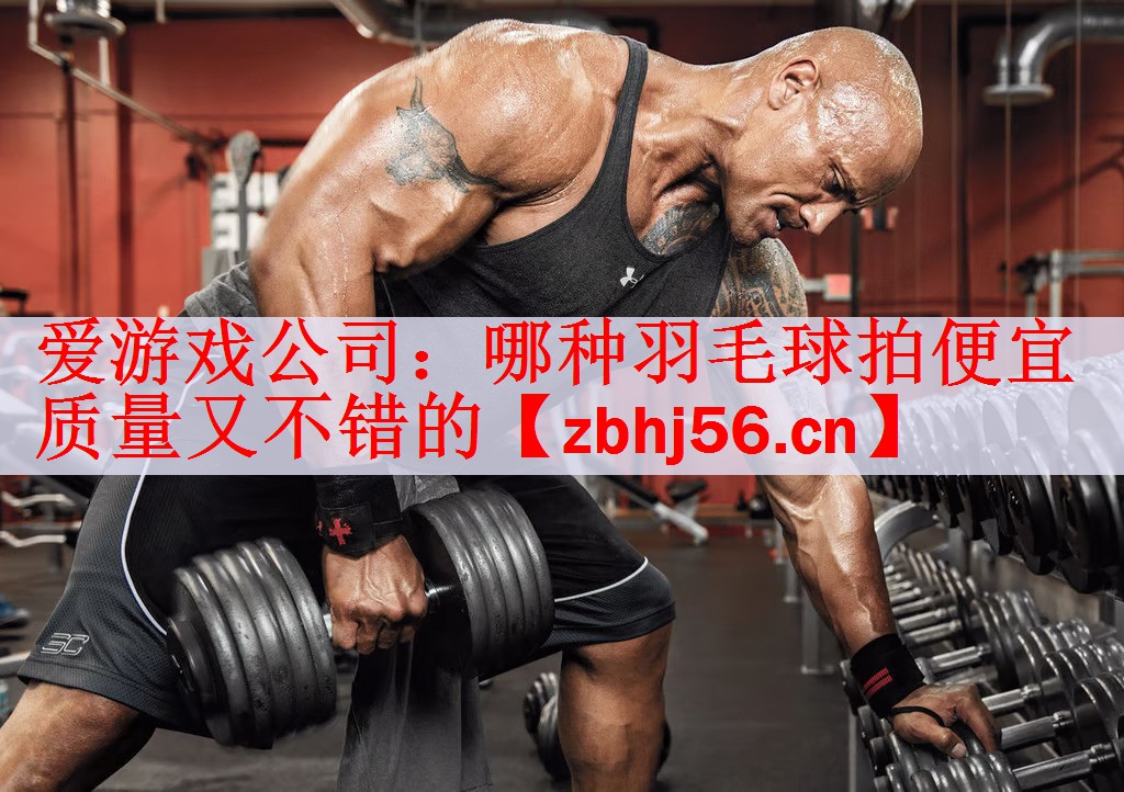 <strong>爱游戏公司：哪种羽毛球拍便宜质量又不错的</strong>