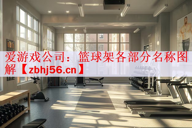 <strong>爱游戏公司：篮球架各部分名称图解</strong>