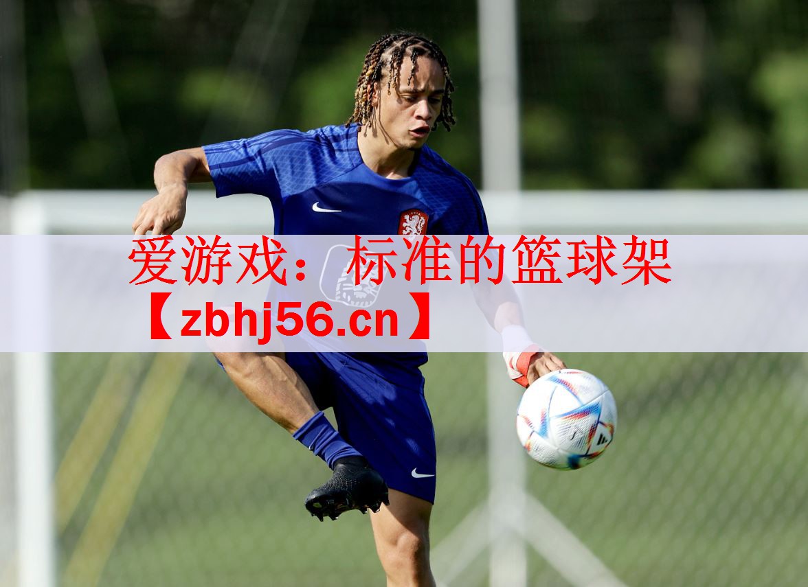 爱游戏：标准的篮球架