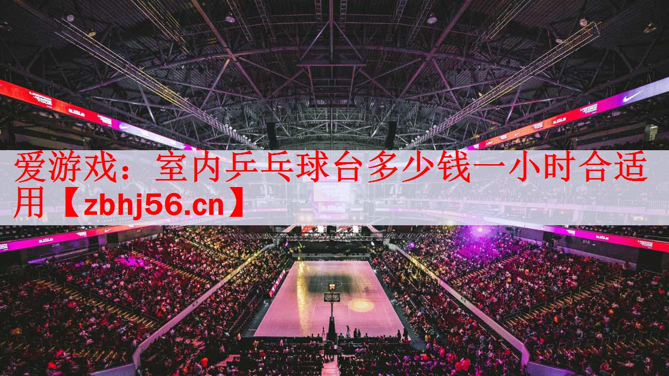 <strong>爱游戏：室内乒乓球台多少钱一小时合适用</strong>