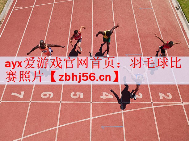 <strong>ayx爱游戏官网首页：羽毛球比赛照片</strong>