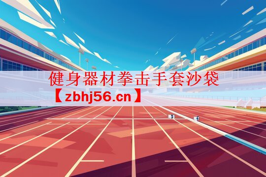 健身器材拳击手套沙袋