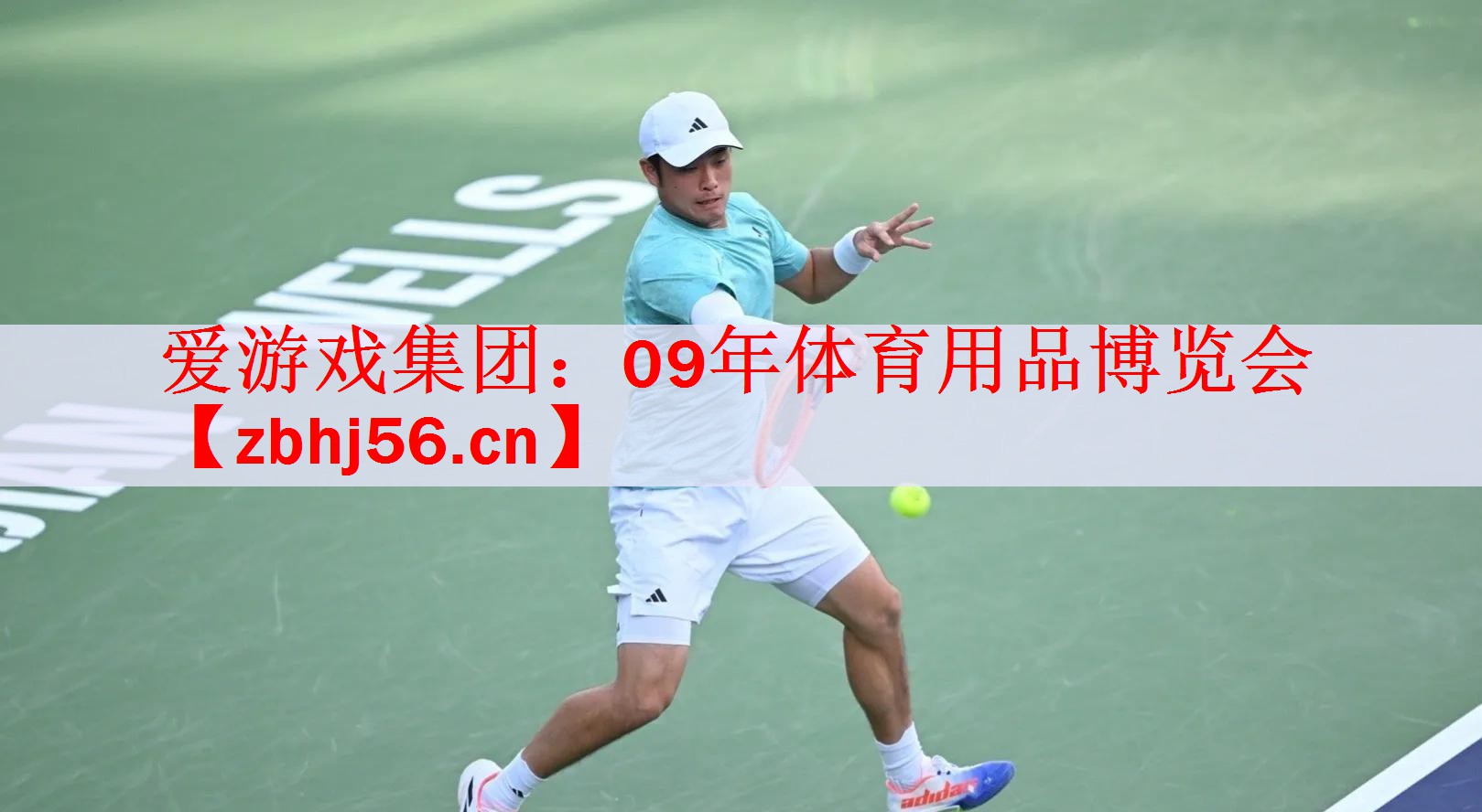 <strong>爱游戏集团：09年体育用品博览会</strong>