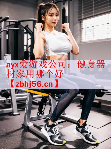 ayx爱游戏公司：健身器材家用哪个好
