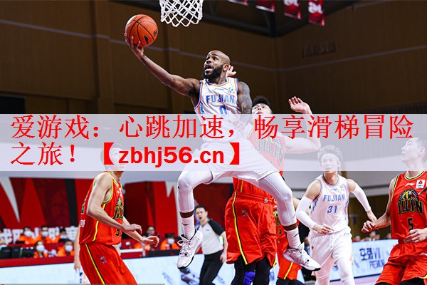 爱游戏：心跳加速，畅享滑梯冒险之旅！