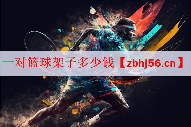 一对篮球架子多少钱