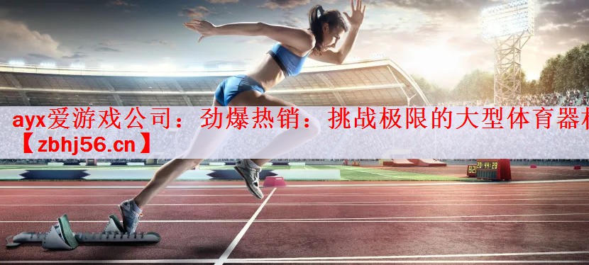 <strong>ayx爱游戏公司：劲爆热销：挑战极限的大型体育器材</strong>