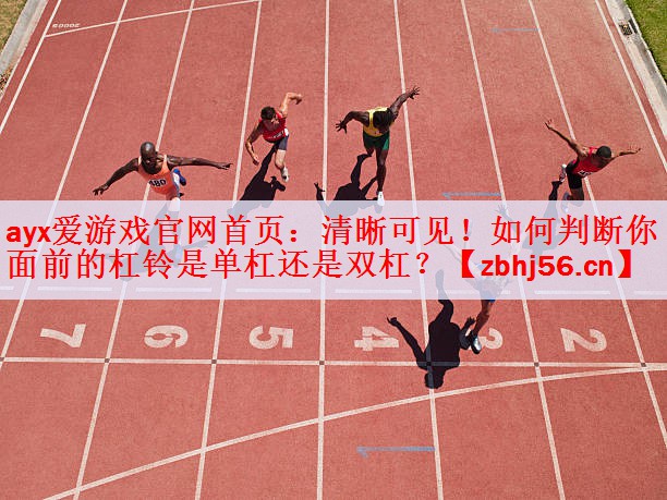 ayx爱游戏官网首页：清晰可见！如何判断你面前的杠铃是单杠还是双杠？