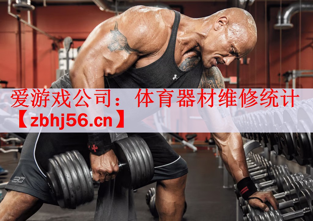 爱游戏公司：体育器材维修统计