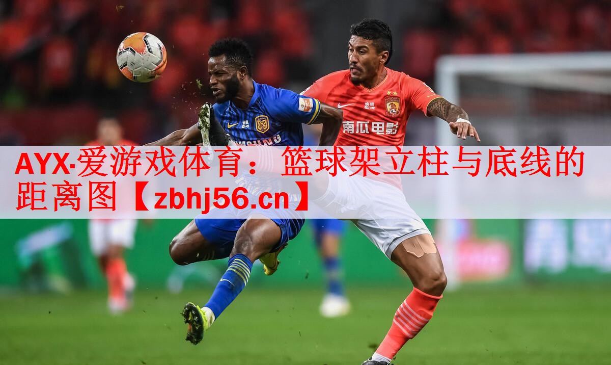 <strong>AYX·爱游戏体育：篮球架立柱与底线的距离图</strong>