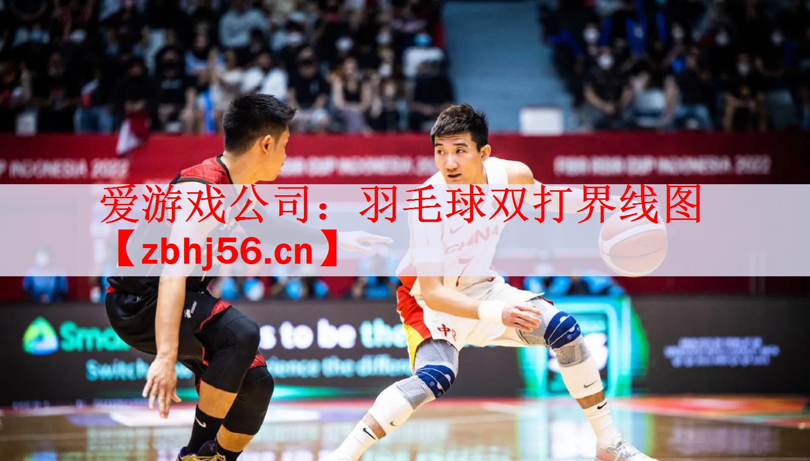 爱游戏公司：羽毛球双打界线图